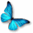 MorphOS